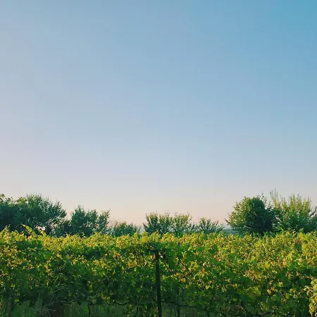 Can Bufi - Hotel & Winery