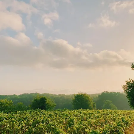 Can Bufi - Hotel & Winery * Llagostera