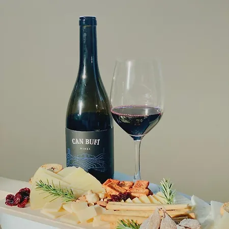 Can Bufi - Hotel & Winery Llagostera