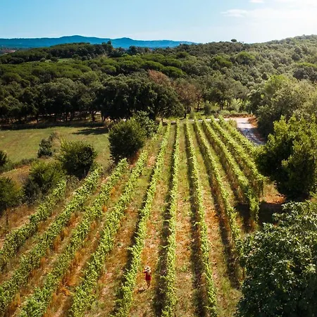 Hotel Can Bufi - Hotel & Winery Llagostera