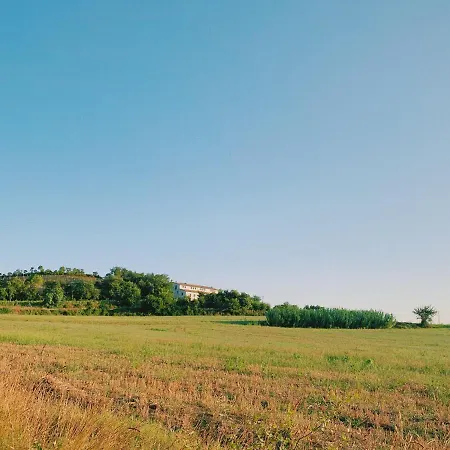 Can Bufi - Hotel & Winery Otel Llagostera