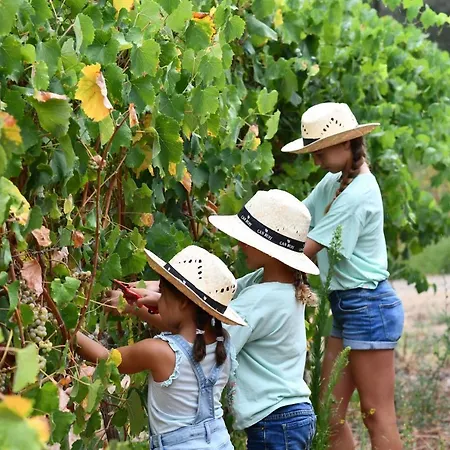 Can Bufi - Hotel & Winery Otel