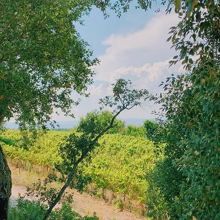 Otel Can Bufi - Hotel & Winery *